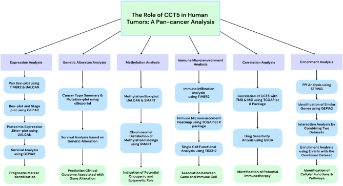 Pan-cancer analysis reveals immunological and prognostic significance of CCT5 in human tumors