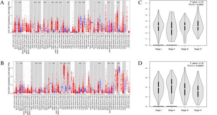 Integrative bioinformatics analysis reveals COL13A1 and COL23A1 as potential diagnostic and prognostic biomarkers in thyroid cancer