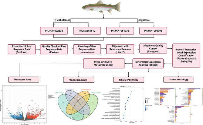 A meta-analysis of public RNA-Seq data identifies conserved stress responses in rainbow trout