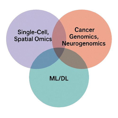 Research interests overview