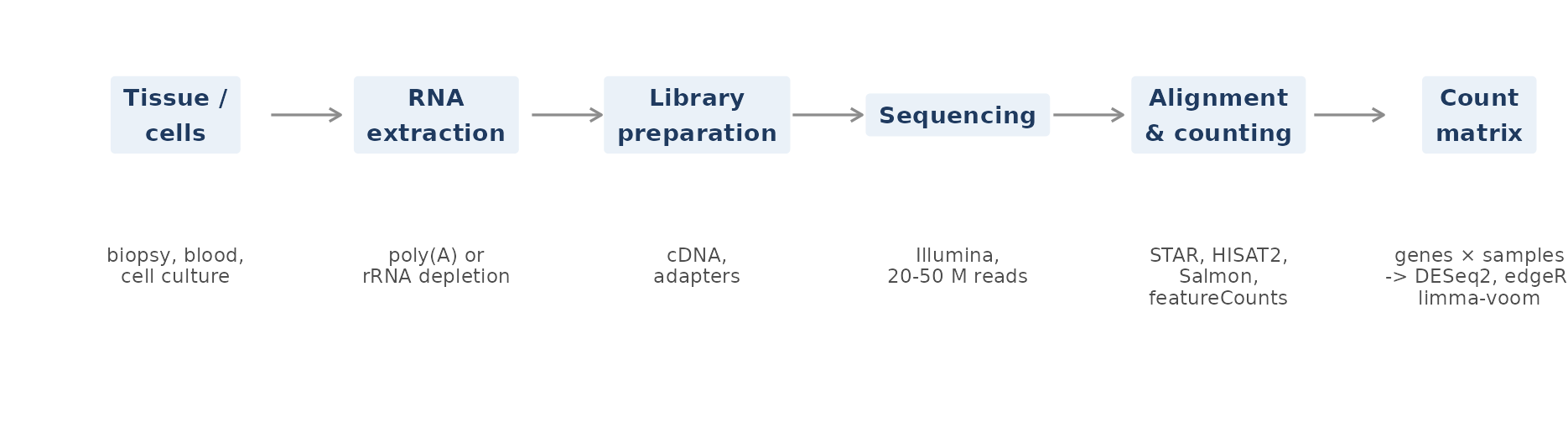 **Figure 1. The bulk RNA-seq workflow.** Reads from each sample are aligned or pseudo-aligned to a reference and counted per gene. The resulting count matrix (genes × samples) is the input to differential expression (DE) analysis. Schematic.